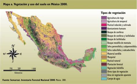 La vegetación de México