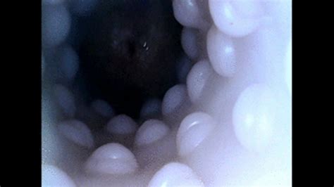 Internal POV Masturbation What It Would Be Like Having Me In Your Ass Harlo Salem Clips4sale