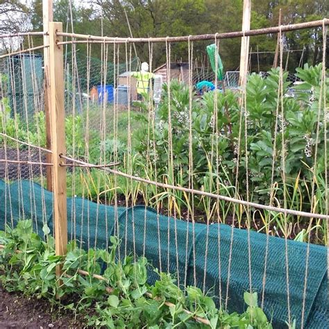 Natural Jute Twine Garden String