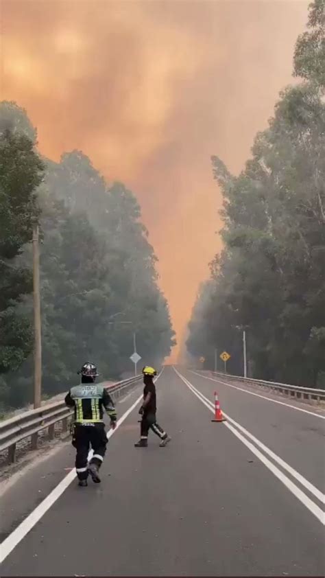 Bioestacion Radio On Twitter RT Reforestemos Nuestra Jefa Forestal