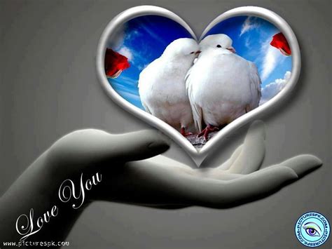 Doves In Love Quotes. QuotesGram