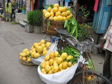 The Mango Guide To India 8 Places Famous For Mangoes