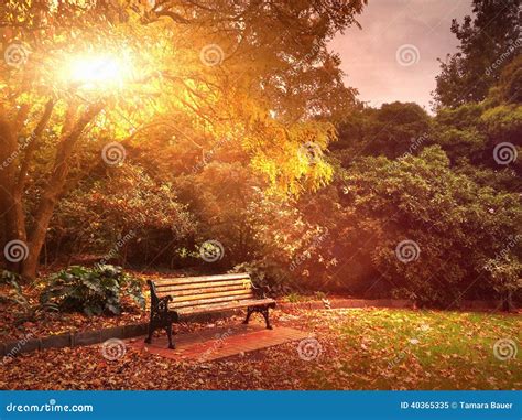 Autumn Bench In Park Stock Image Image Of Warmth Pretty 40365335