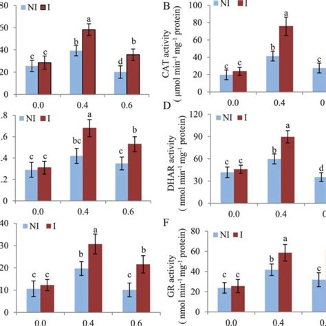 B Cepacia Jfw Enhanced Antioxidant Enzymatic Activities In The