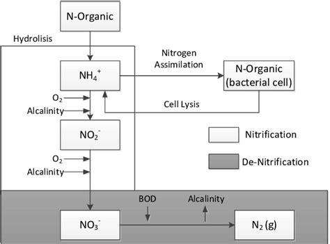 Nitrification De Nitrification Process Scheme Download Scientific Diagram