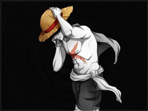 Luffy and Straw Hat - One Piece Photo (36711955) - Fanpop