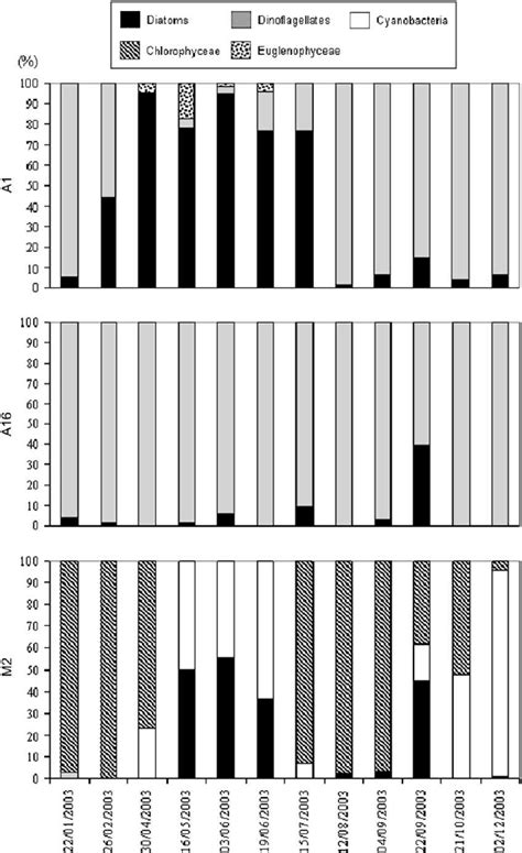 Temporal and spatial variation of | Download Scientific Diagram