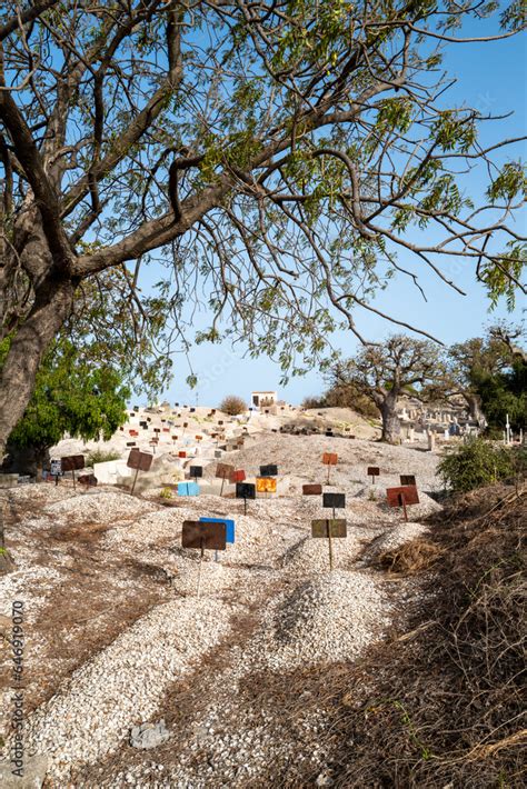 des baobabs dans le cimetière aux coquillages de l île de Fadiouth au