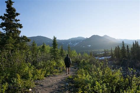 How To Hike Denali S Savage Alpine Trail Savage River Loop Trail