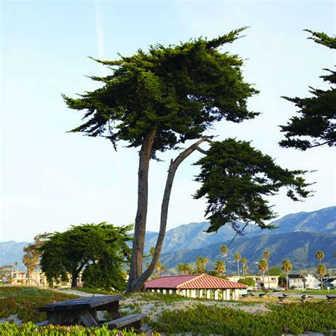 Check this guide for the best stops along highway 101 california 1