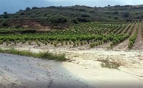 Una granizada daña cientos de hectáreas de viñedo y cereal en Rioja