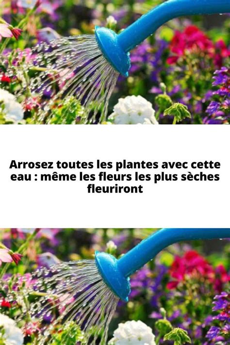 Arrosez toutes les plantes avec cette eau même les fleurs les plus