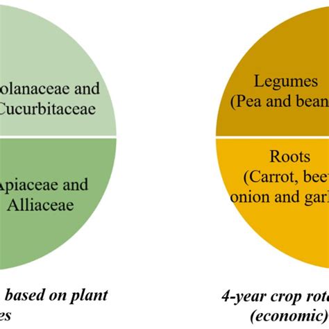 Examples of 3-year crop rotation | Download Scientific Diagram