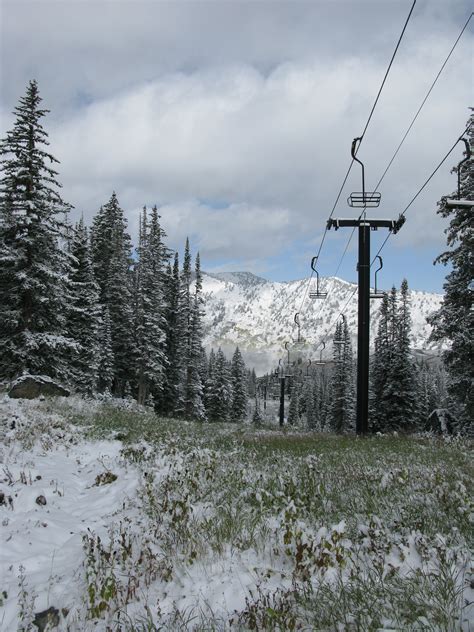 Knee Deep Snow @ Snowbird and Alta, Utah w/ 5-9” More Today | Indepth ...