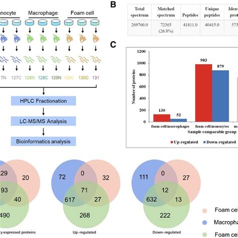 Overview Of Differentially Expressed Proteins Deps A Schematic