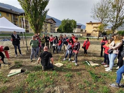 Aosta Cresce La Foresta Cittadina Con Mille Alberi In Via Paravera