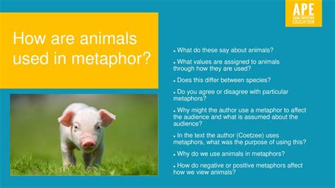 Can animals use metaphors? [2022] | QAQooking.wiki