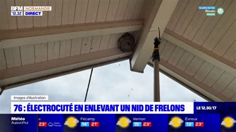 Seine Maritime Un Homme Meurt Lectrocut En Enlevant Un Nid De Frelons