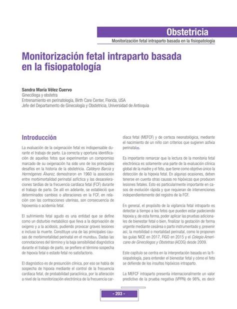 Monitorizaci N Fetal Intraparto Basada En La Fisiopatolog A Brayan