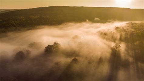 Sunrise over misty forest stock photo. Image of sunshine - 235129676