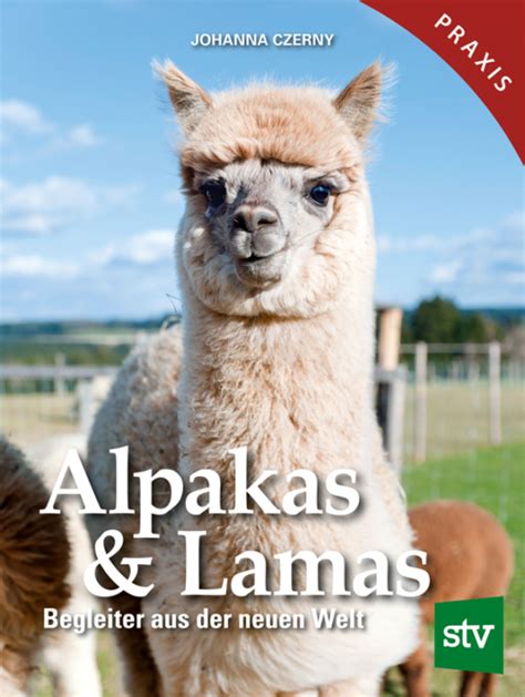 Unterschiede Zwischen Alpakas Und Lamas Stocker Verlag