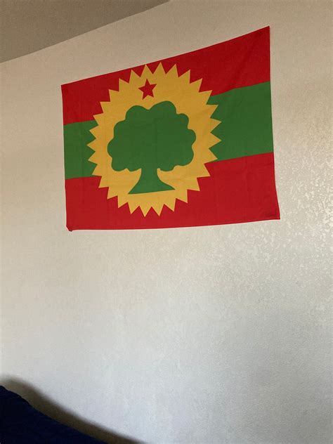 Oromo Flag Wall Tapestries - Etsy