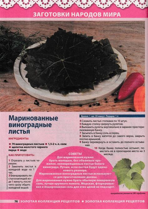 Маринованные виноградные листья | Еда, Кулинария, Вкусняшки