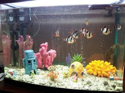 Bikini Bottom Bikini Bottoms Aquarium Bikinis Dream Goldfish Bowl