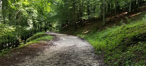 Pian Cansiglio Bike Tour, Veneto, Italy - 14 Reviews, Map | AllTrails