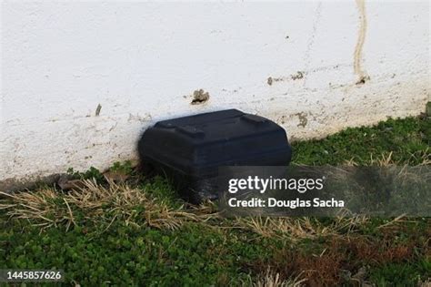 Exterminator Trap For Catching Rodents Pest Control High-Res Stock ...