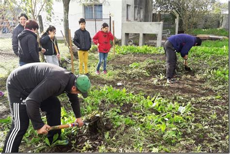 Huertas Comunitarias Perú Huertos Urbanos Y Compostaje