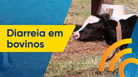 Conheça as soluções para prevenção e tratamento Ourofino