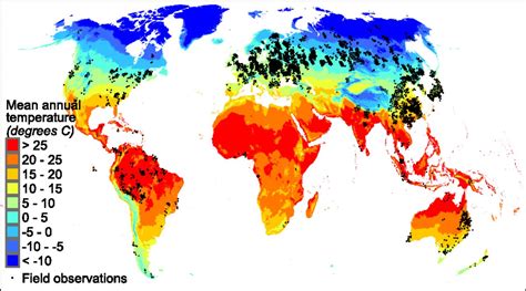 Temperature Drives Global Patterns In Forest Biomass Distribution In