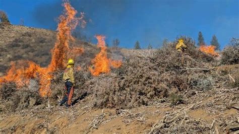 Cal Fires Siskiyou Unit Completes 85 Burn Piles To Safeguard Yreka