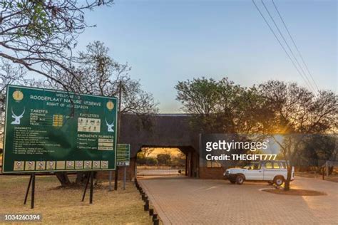 Roodeplaat Nature Reserve Photos and Premium High Res Pictures - Getty ...