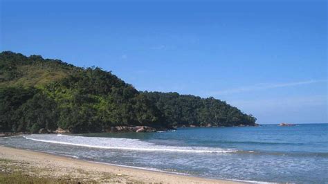 Camburi Das Pedras Ubatuba Naturam