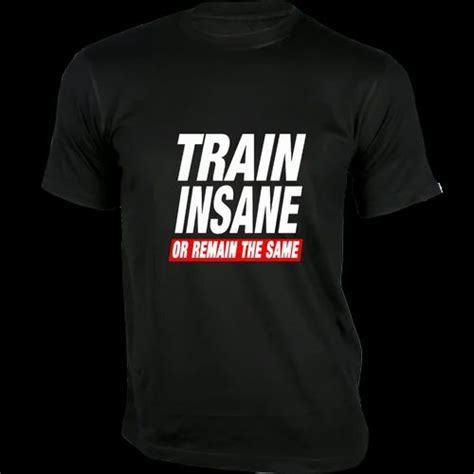 Train Insane Or Remain The Same Gym T Shirt Gym Workout T Shirt