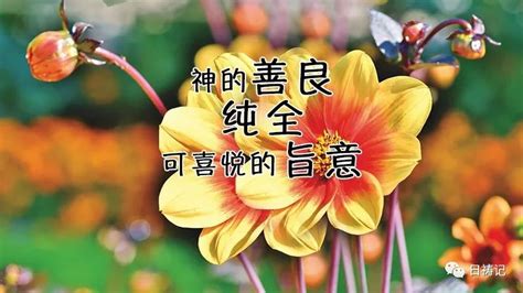 今日祷告丨神啊你的旨意纯全保守我的心 凤凰网