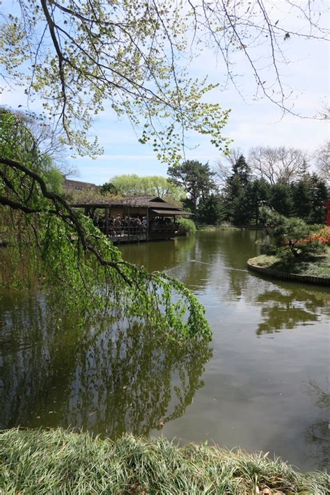 Brooklyn Botanic Garden Cherry Blossom Season 2017 - The Chic Life