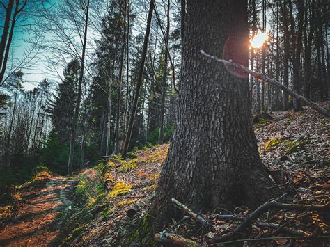 Szczyrk otwiera zjazdowe ścieżki rowerowe Trasy zostały gruntownie