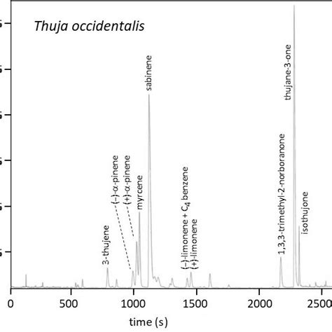 Total Ion Chromatogram Tic By Gc Ms Gas Chromatography Mass Download Scientific Diagram