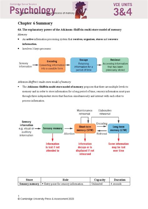 Psychology Chapter 6 Memory