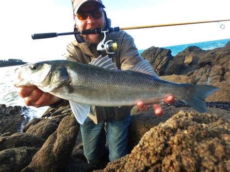 P Che Du Bar En Bretagne Celticfishing