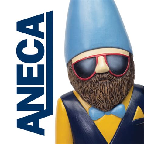 Aneca Federal Credit Union Google Play