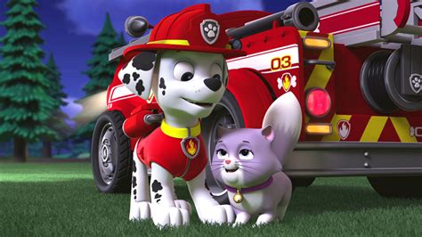 Watch Paw Patrol Season 4 Episode 15 Paw Patrol Pups Save A City Kitty Pups Save A Cloud