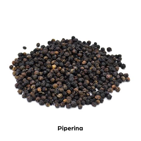 Piperina Dntro