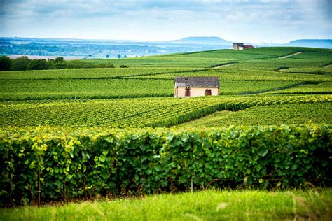 Champagne And The Ardennes Travel Guide What To Do In Champagne And