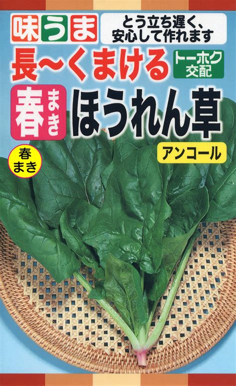 ホウレンソウ（春まき） 品種の使い分け 株式会社トーホク