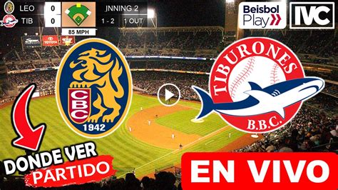 Leones Vs Tiburones En Vivo Donde Ver Y A Que Hora Juega Leones Del