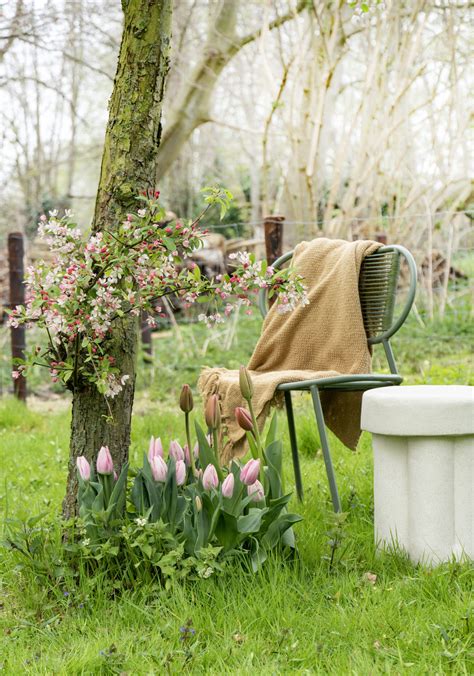 Garden trend 2024 – Meaningful Earth - Flowerbulbs